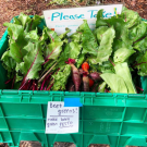 Produce Bin. Fresh Focus provides food to the community through many partners and outlets